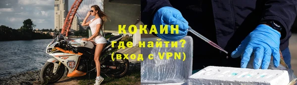 мдпв Ладушкин