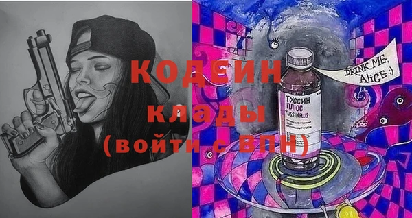 мдпв Ладушкин