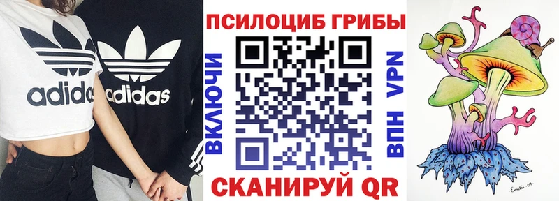 kraken ONION  Старый Оскол  Галлюциногенные грибы прущие грибы 