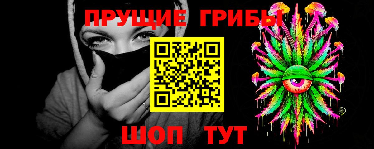 Псилоцибиновые грибы Psilocybe Старый Оскол