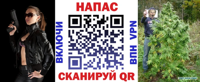 Каннабис сатива  Старый Оскол 